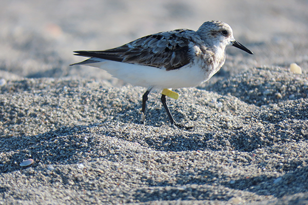 iyhshfh5h6dtq7fuo2ct