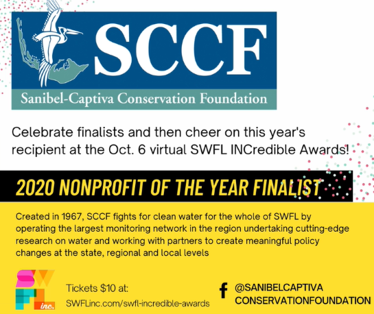 j08wabwmg4ujqn4vafkk