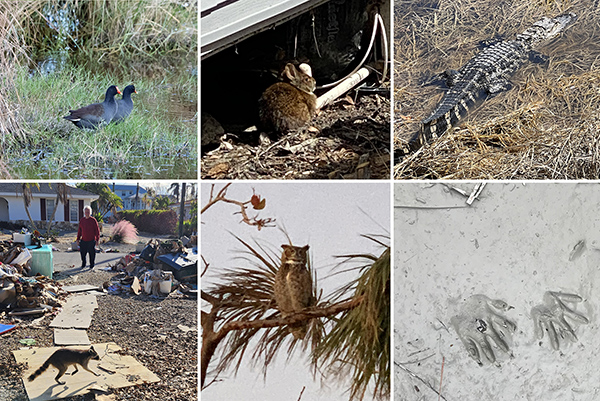 j3o6wwgykgw9bhcmrw7t