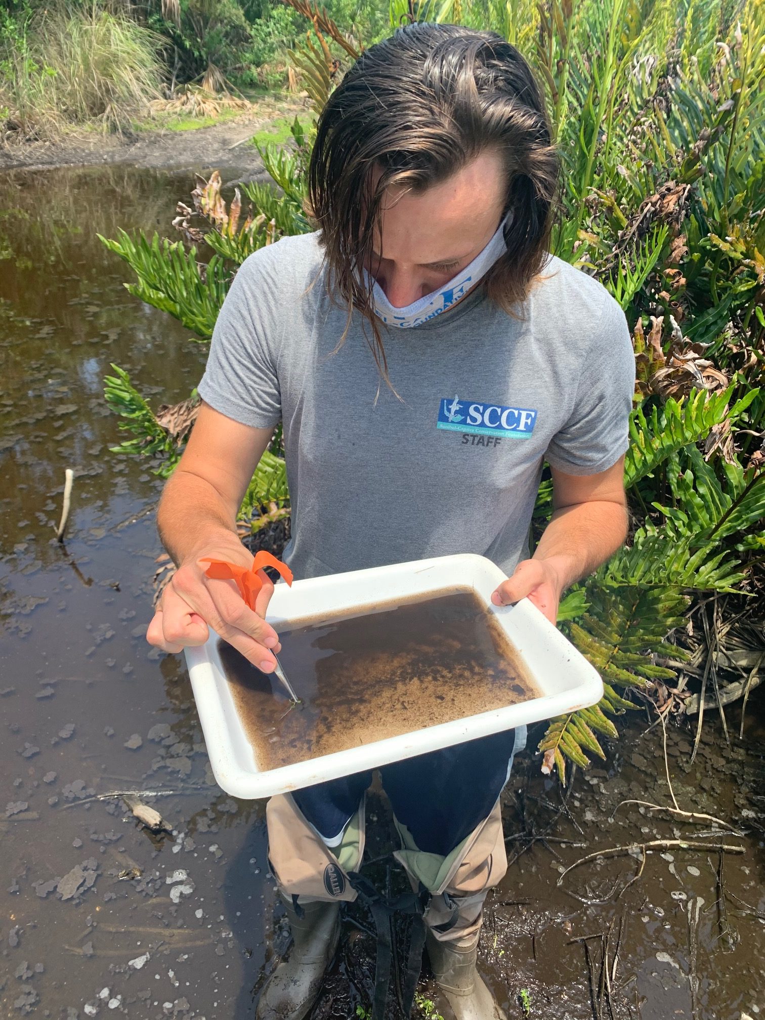 jeycbmjcarjh6tq2q4k3