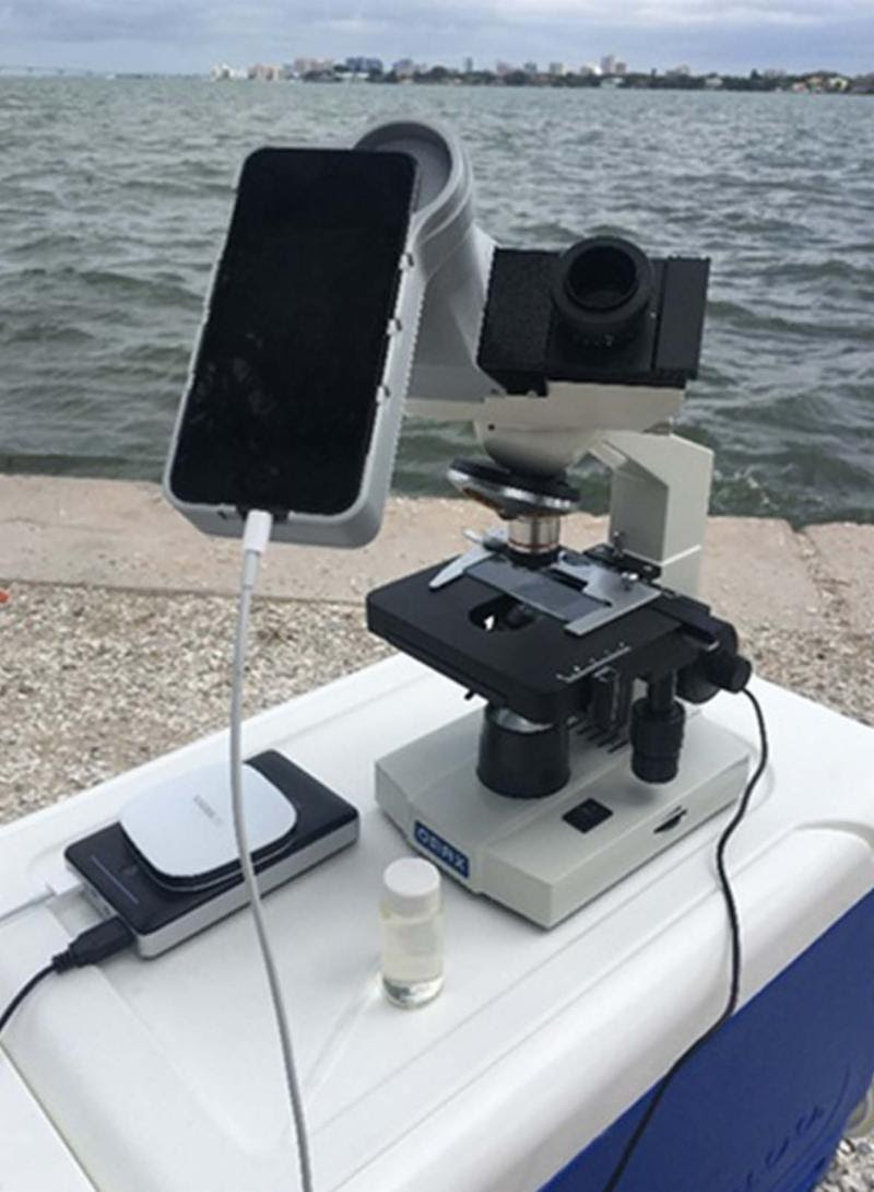 jgzca6rbjje0vg2frv8d