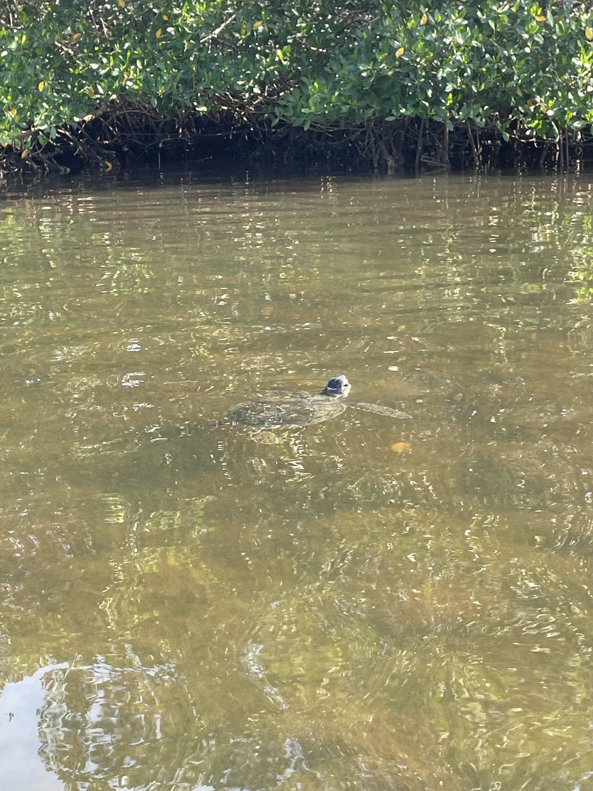 jj0lpwly53pwnf809ckj