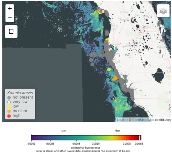 jjif4yywtuj5m8felggh