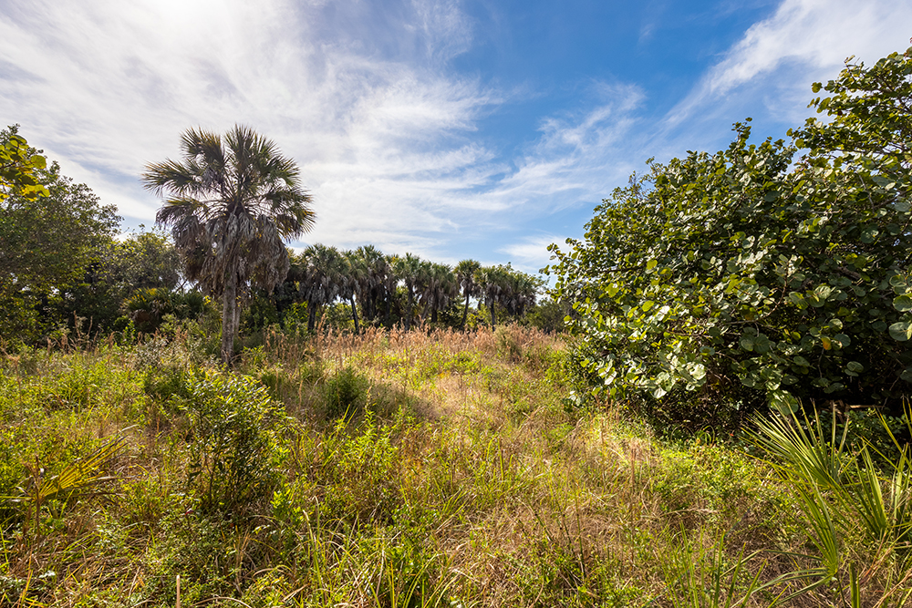 jjqjqanlsyxt87cgo43y