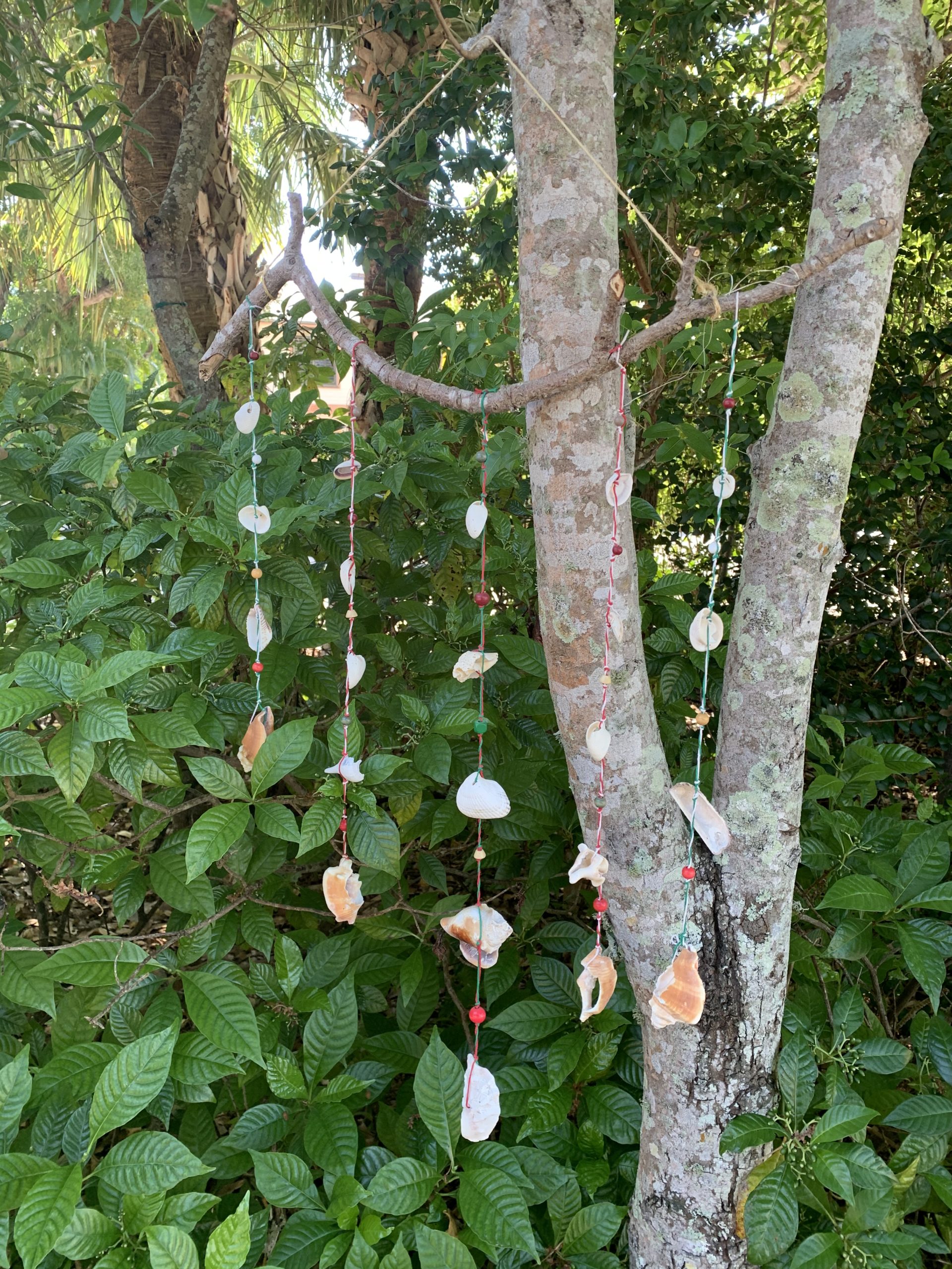 jodick02jbbbe16ebawa