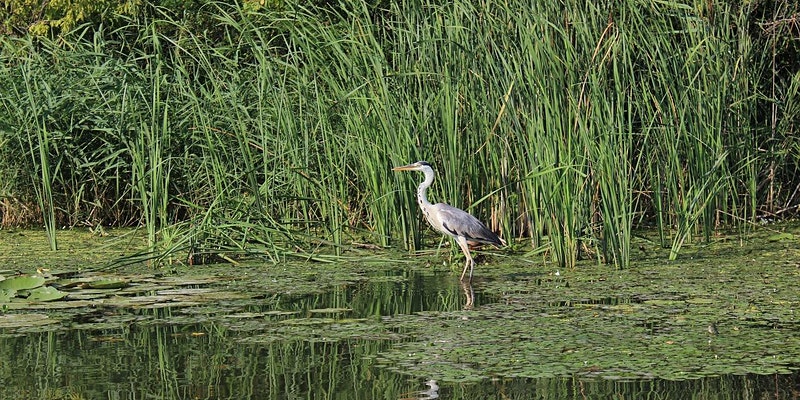 jpvlp2yfgx9b0lnvt85y