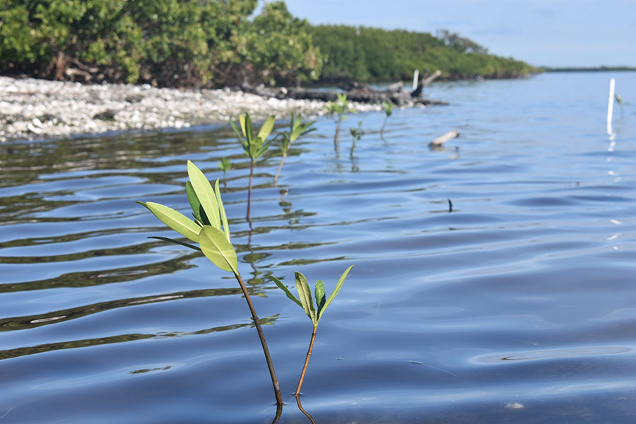 jw561k1wnxnuoz8adlec