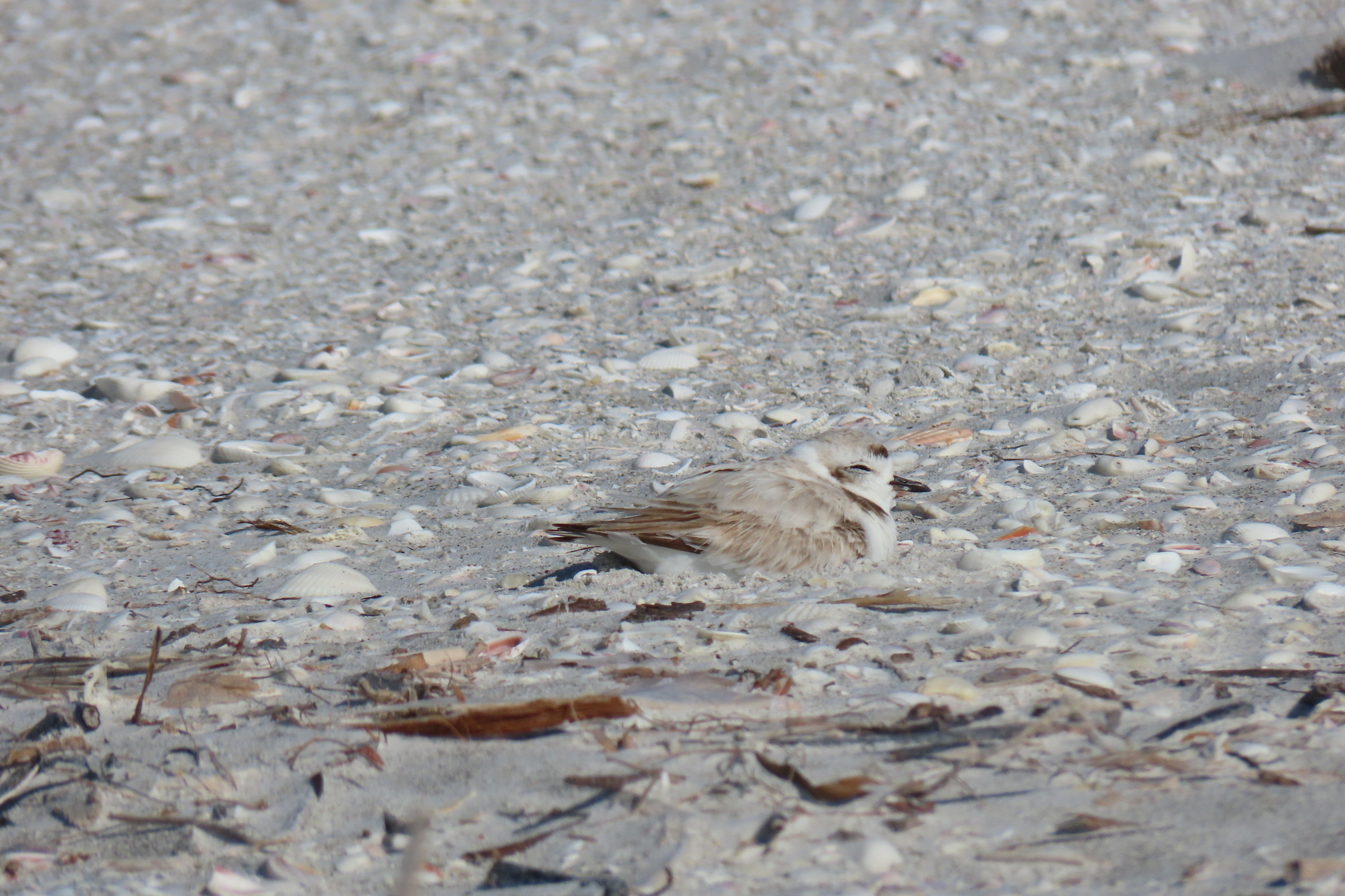 jxzkzip60mnv945cakri