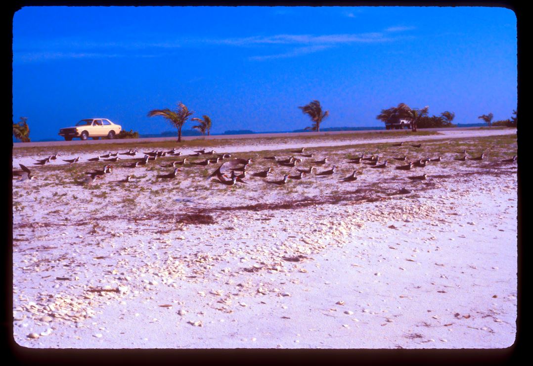 khhbc1gdkff2cbgwphkd