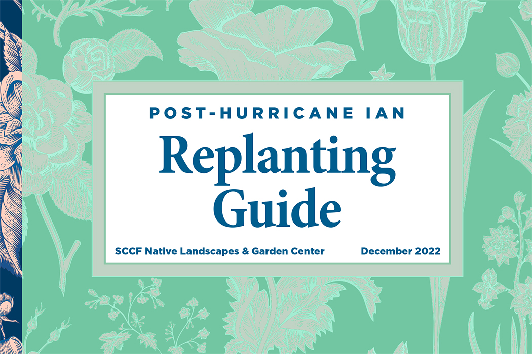 ksciodiszfazvxye3fqn