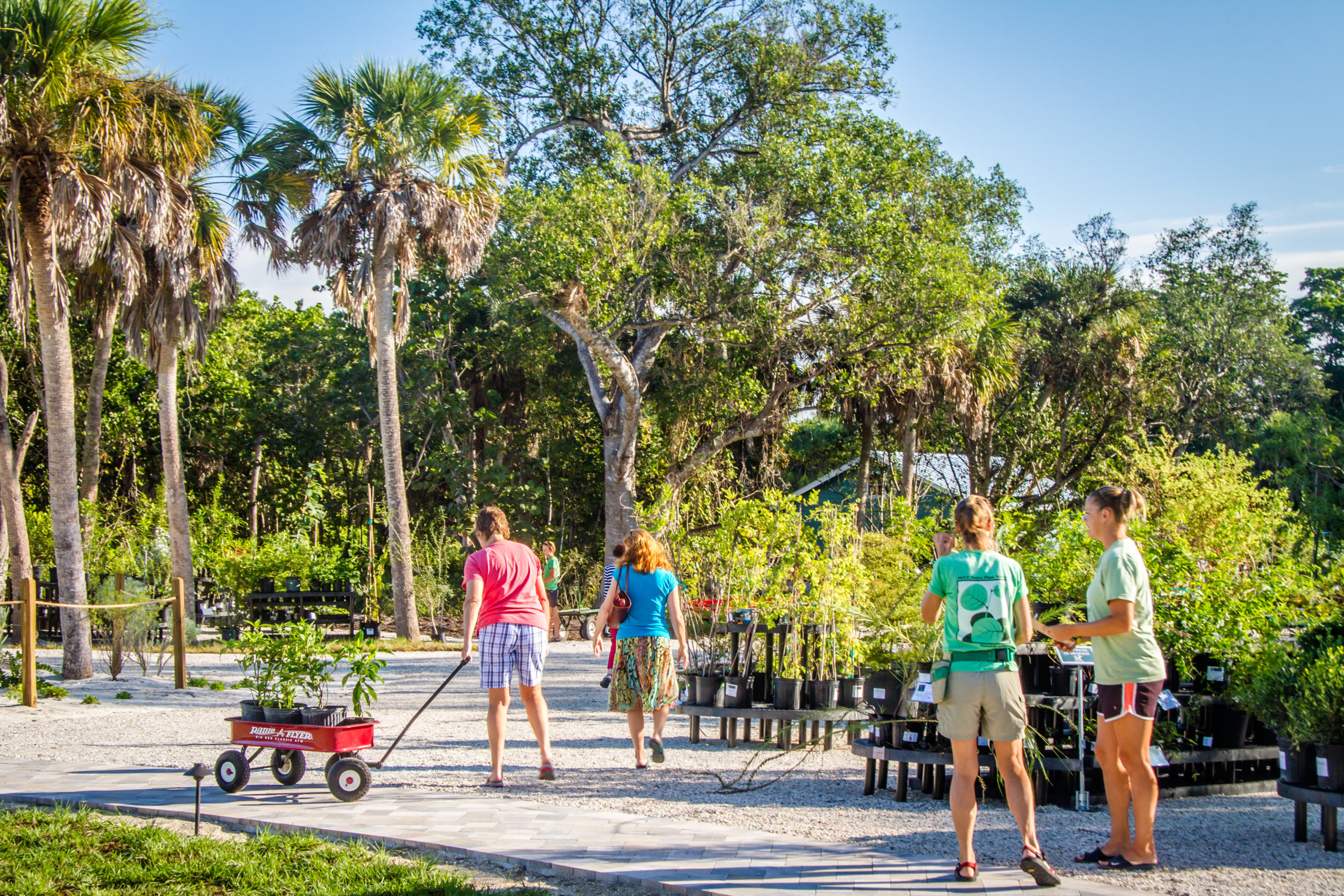 lc09yjntts43iiqjsgz2