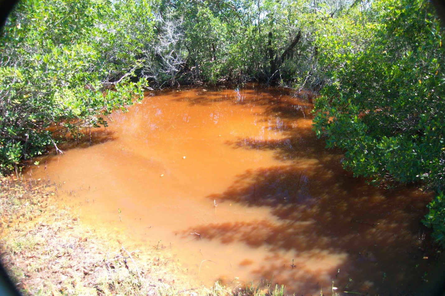 ldfvshixh3fnffqbluwg