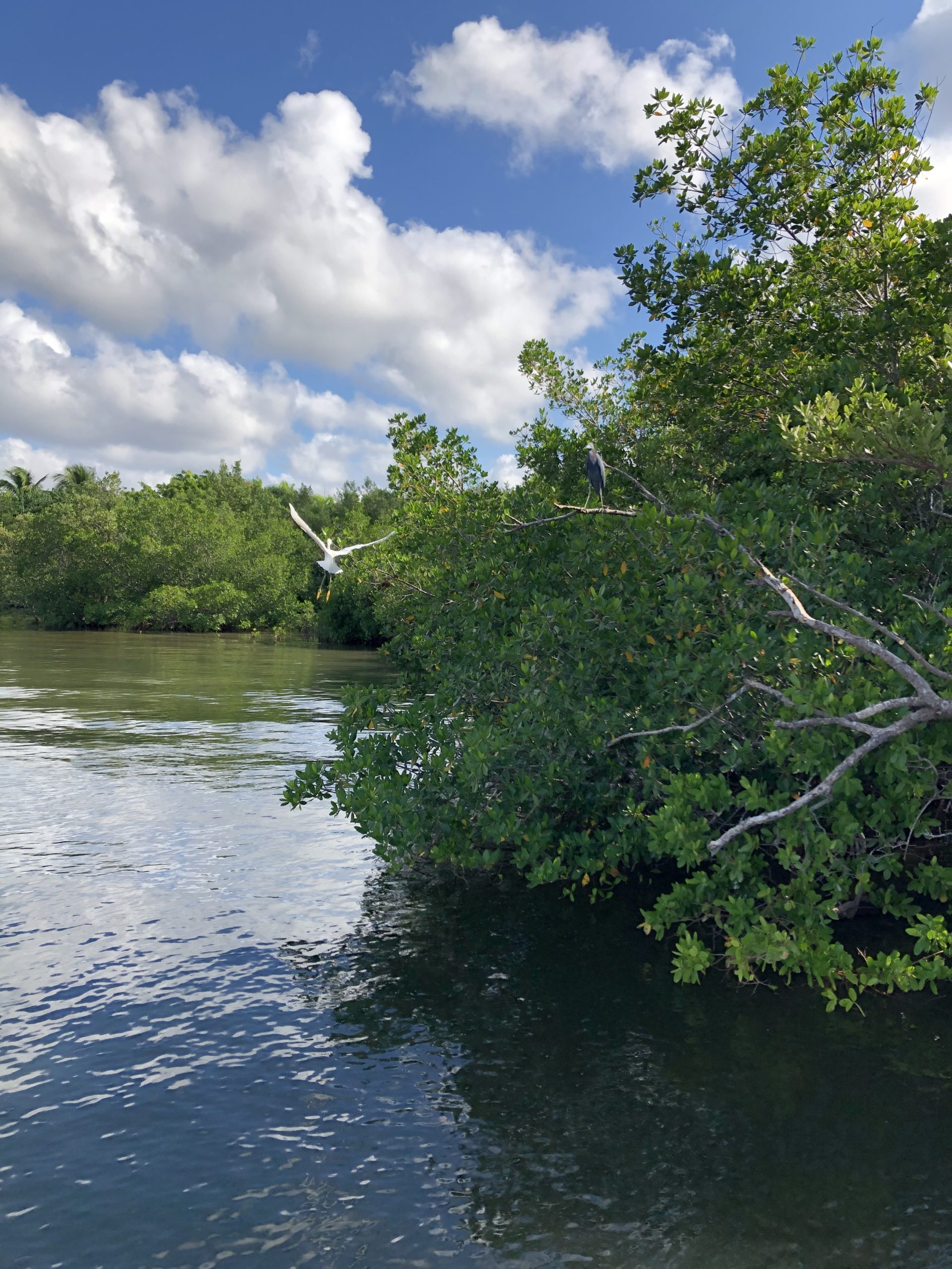 lgzuiouyizlmhif7humr