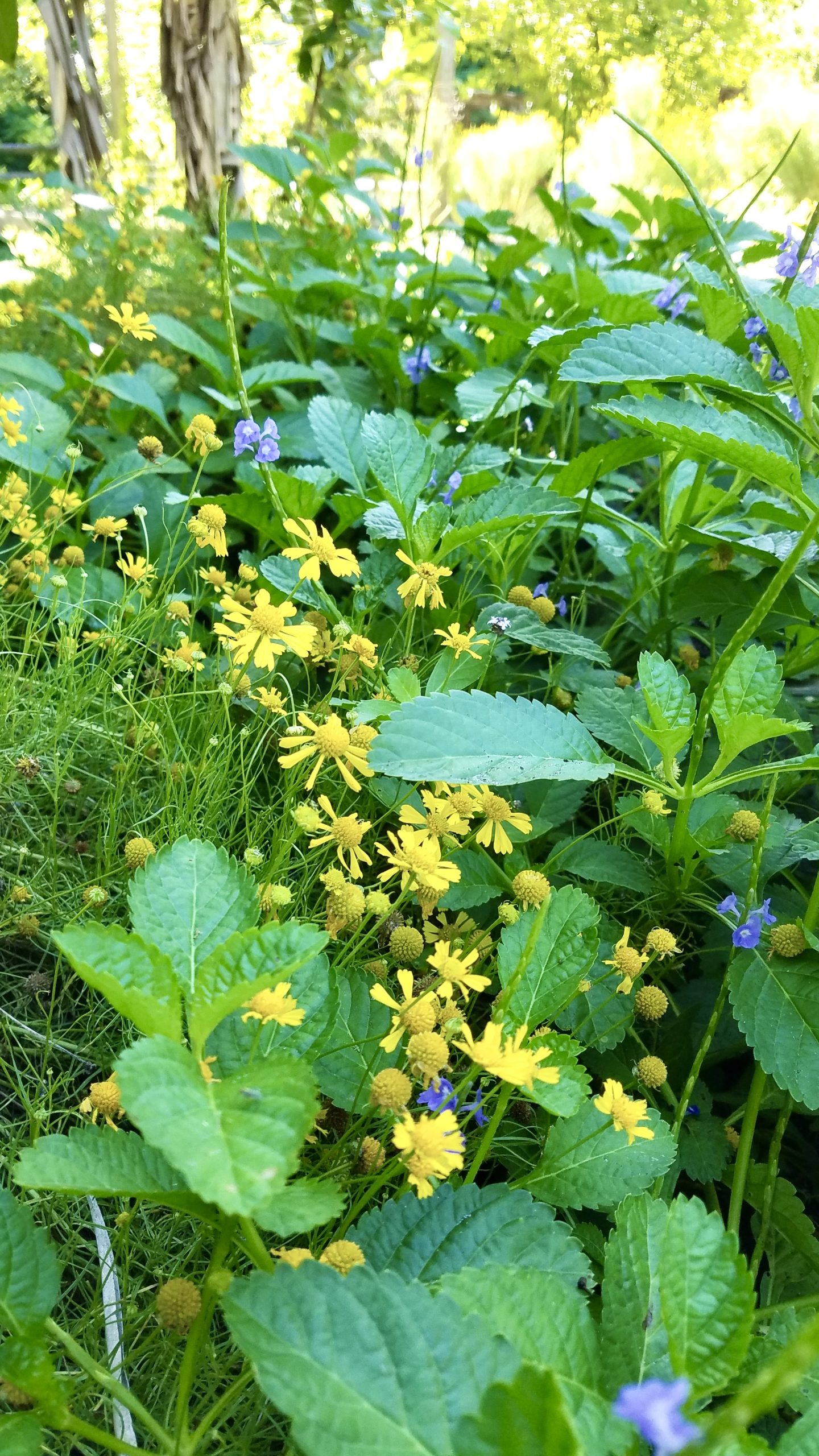 lwsgukfzj2cxnewj0vnr