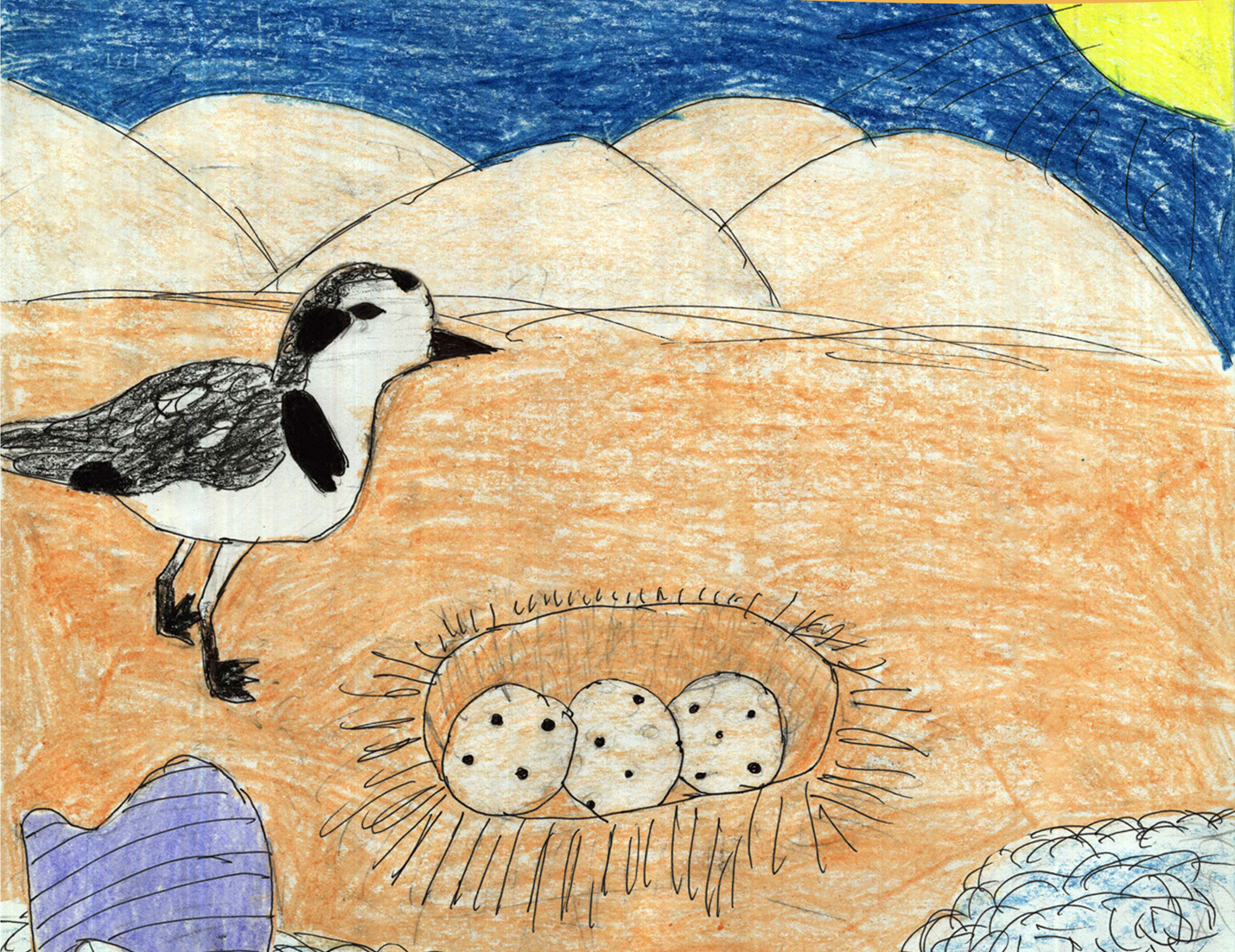 m8rpsj13fj6odyz3z1gy