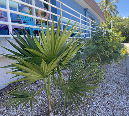 m9yx71brdpd5izhlpyvr