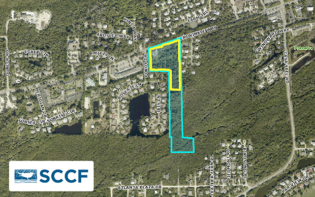 mlprksusvlrfm9zgt2cb