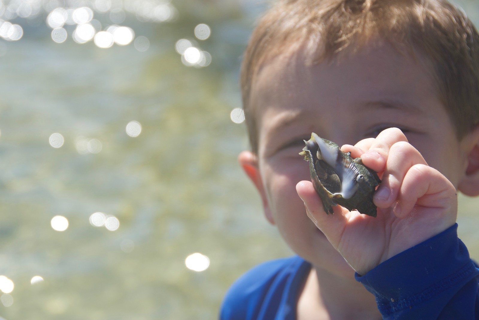 mt3tic00k3yikg01wg2n