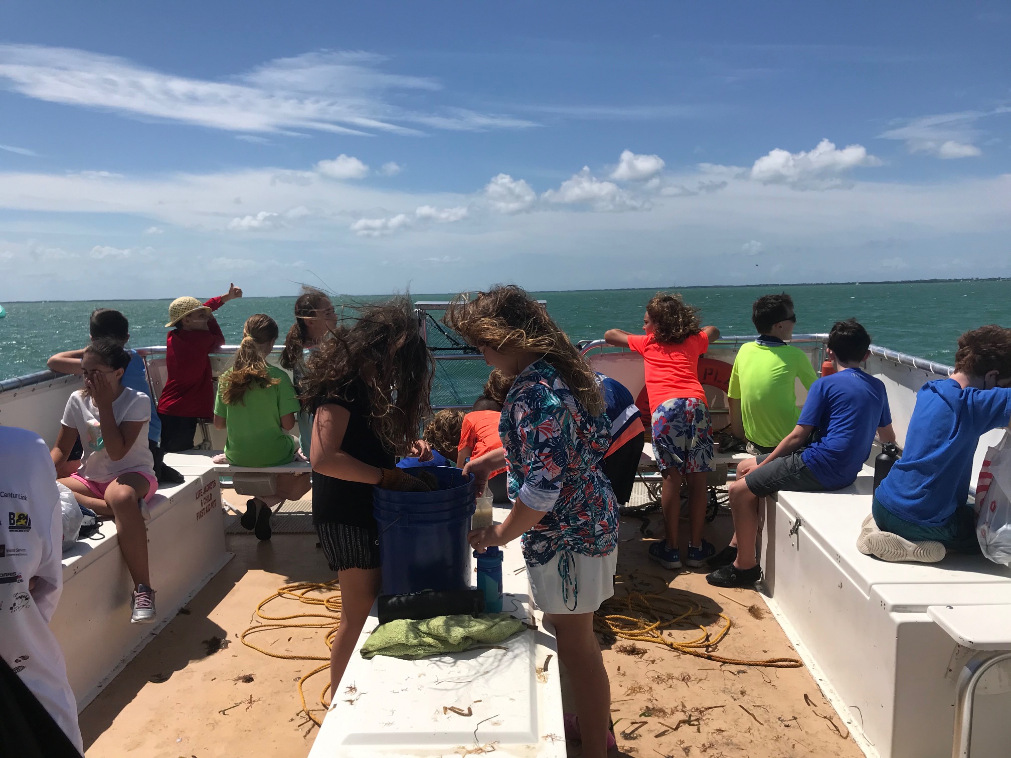 mvfaf8eygu4j3z0p8ysx