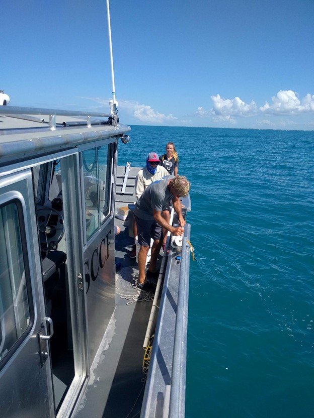 mwrgbp5suequ7ow6icnu