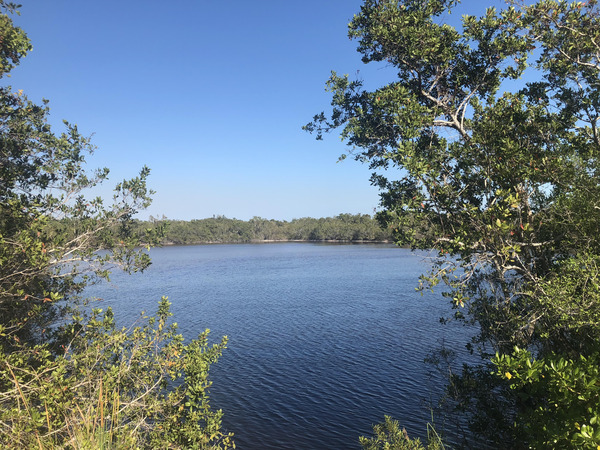 nwfgzyrvvw6sjp7o4ykh