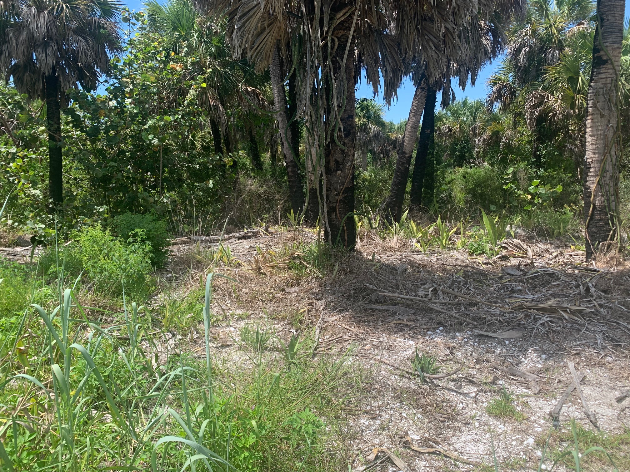 nzkvznmcui178ks0o17d