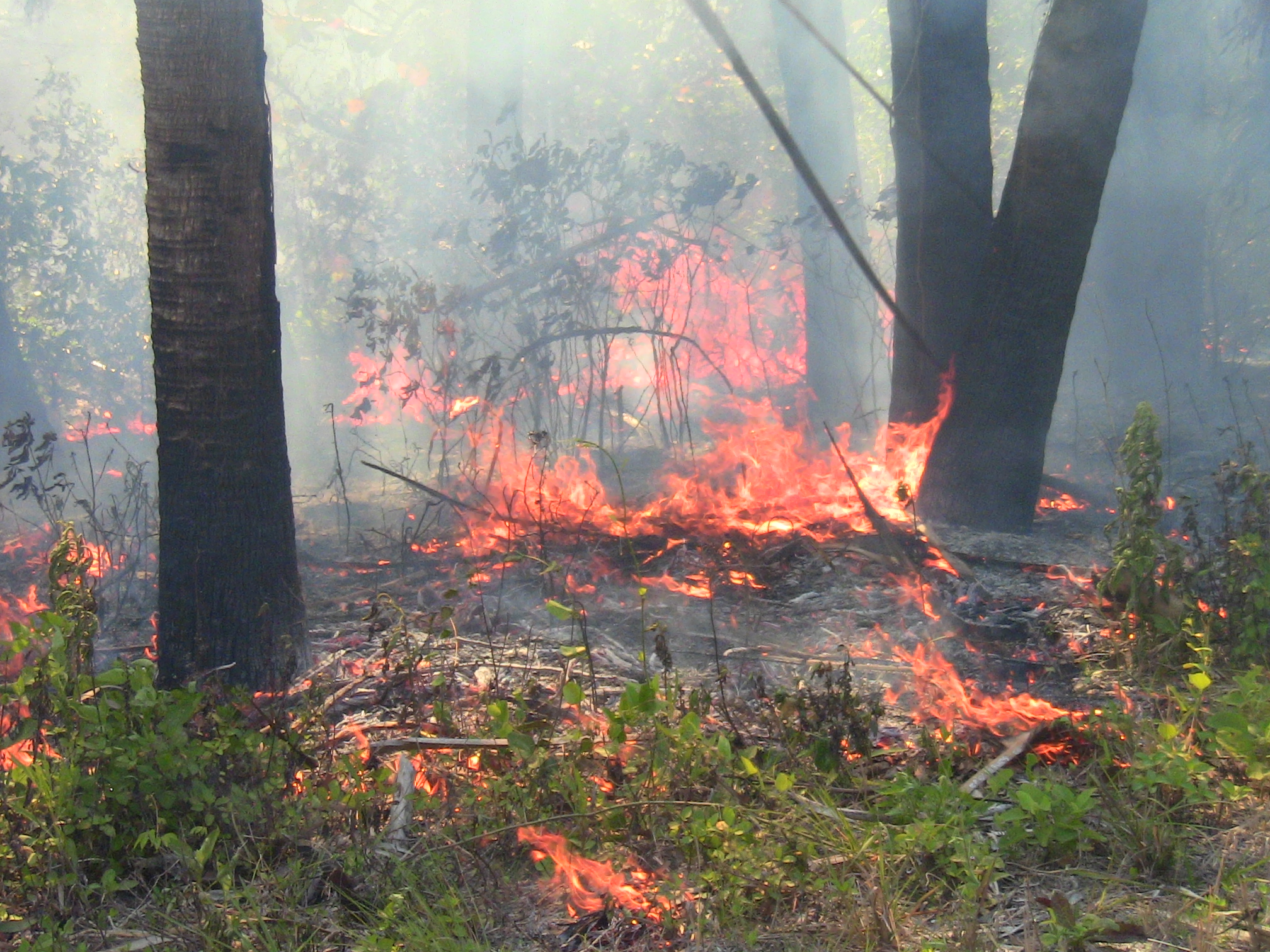 nzo4lecfuuztr8avyapv