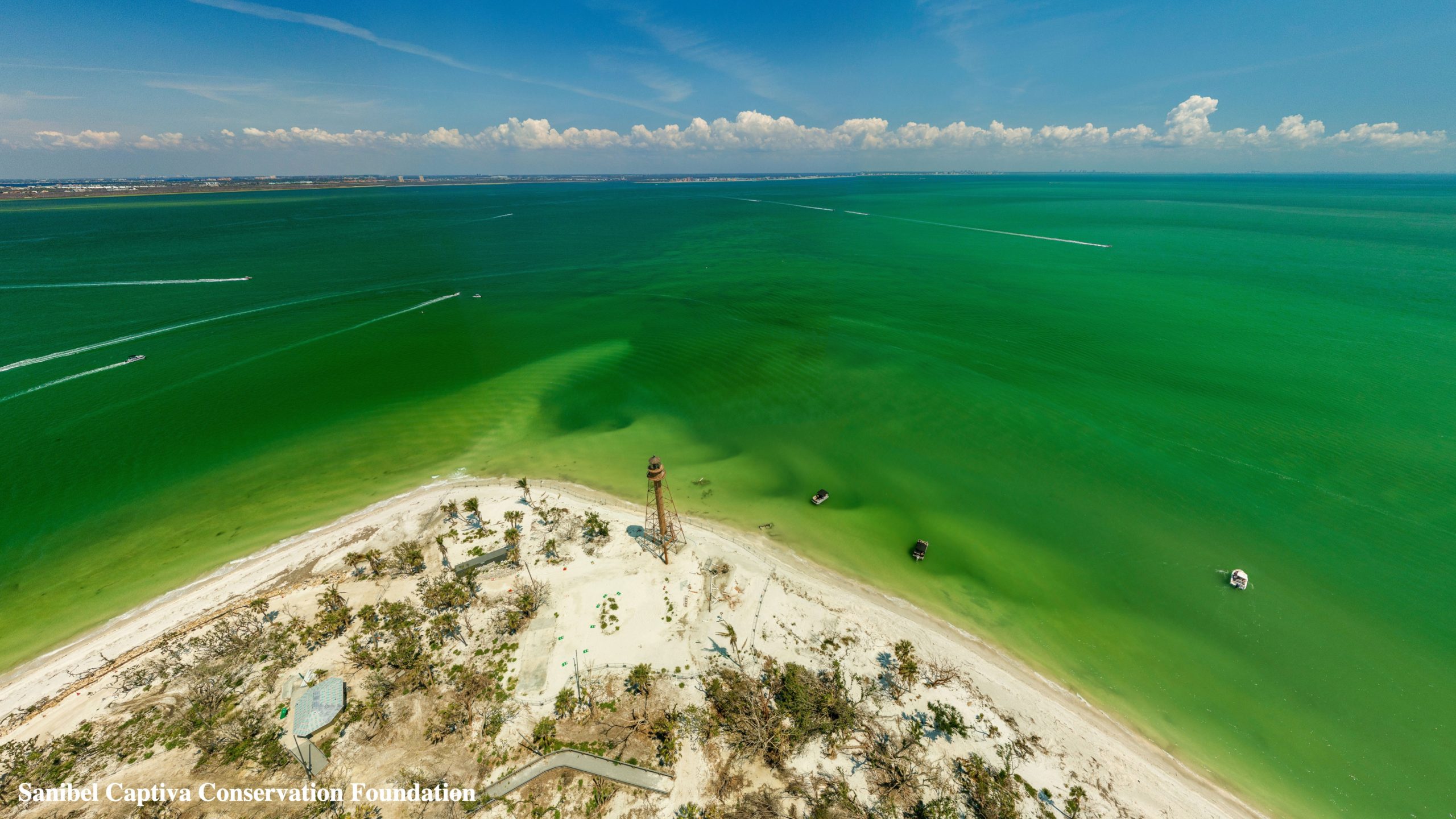 obbtktsozelwbsglktss