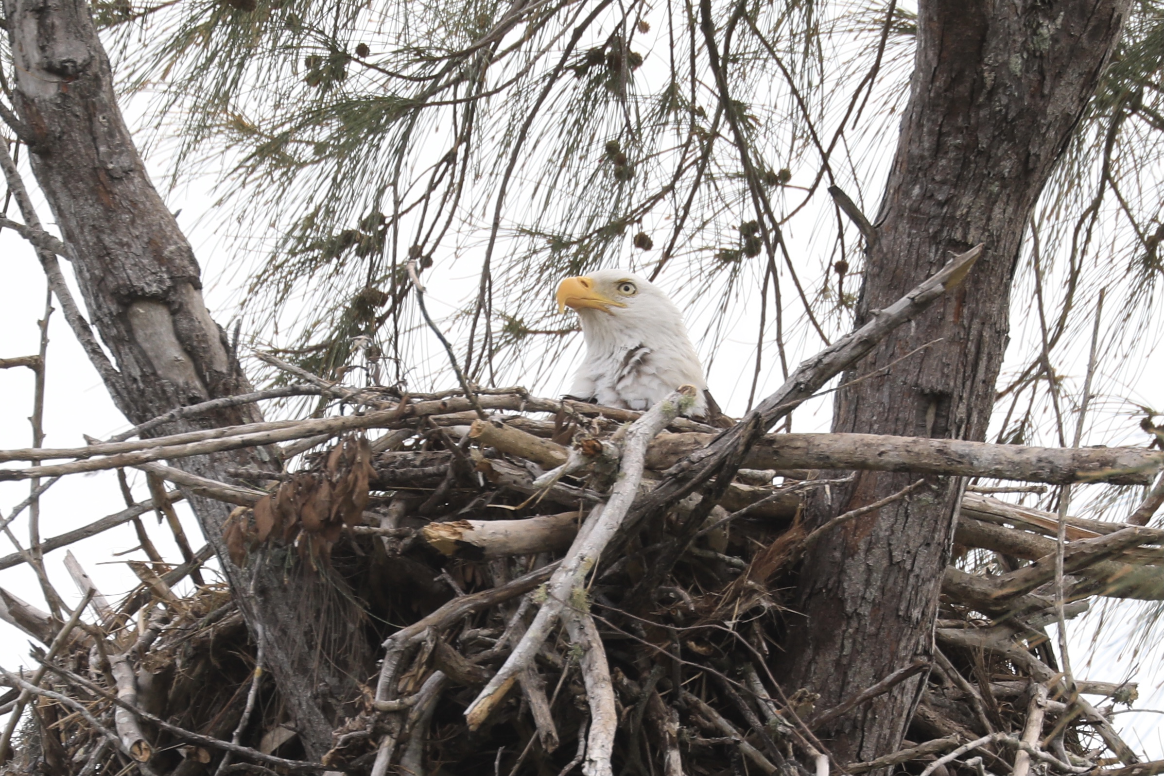 ocyae0trbxy75kgucl4c