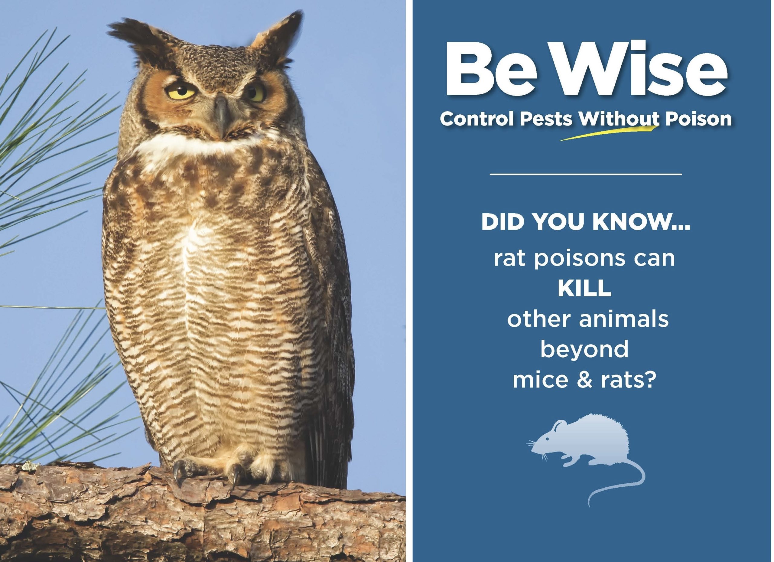 ofbztpm79oq4xud6vdqz