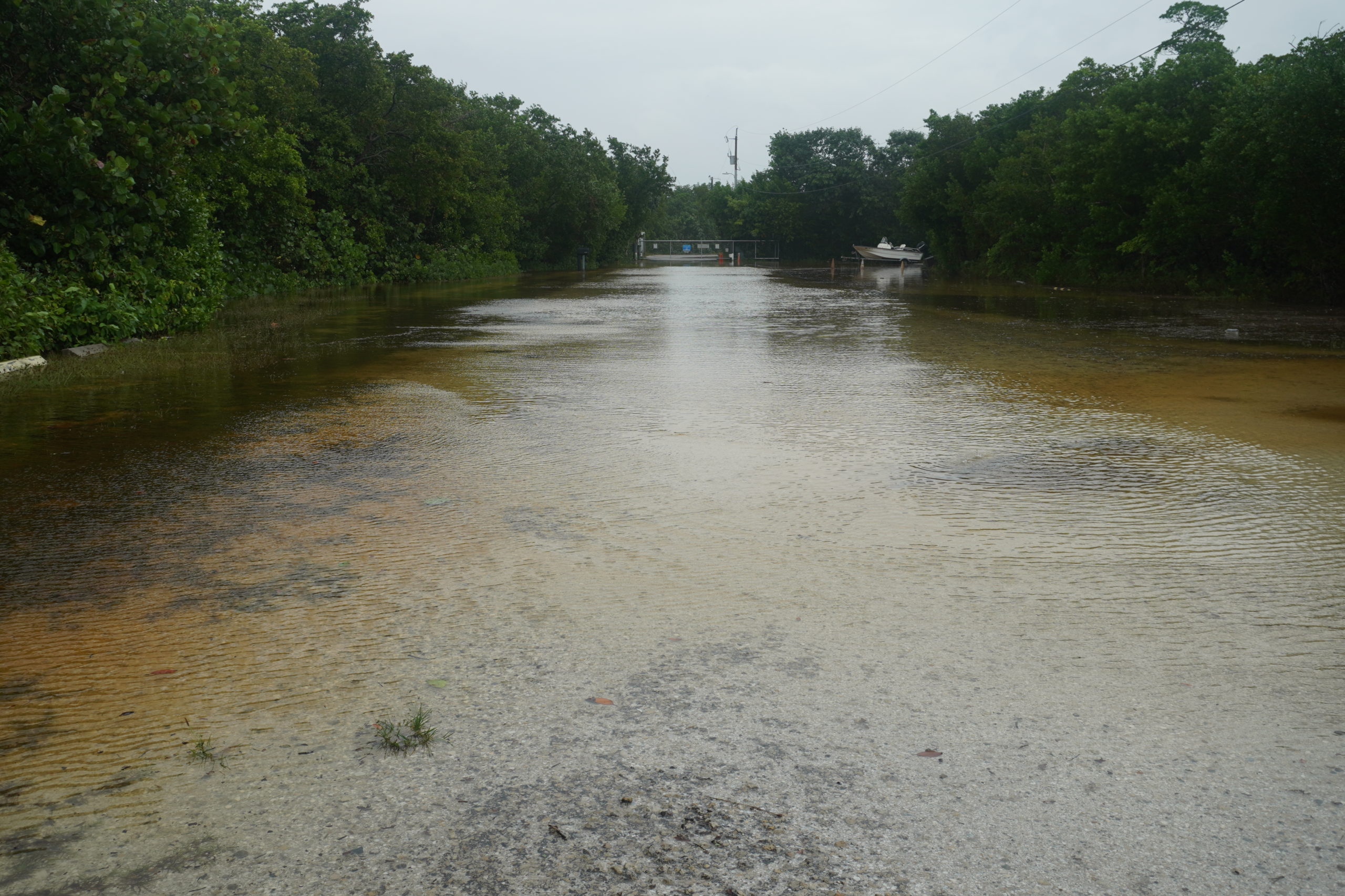 olycaaxwthyhcxmjpad4