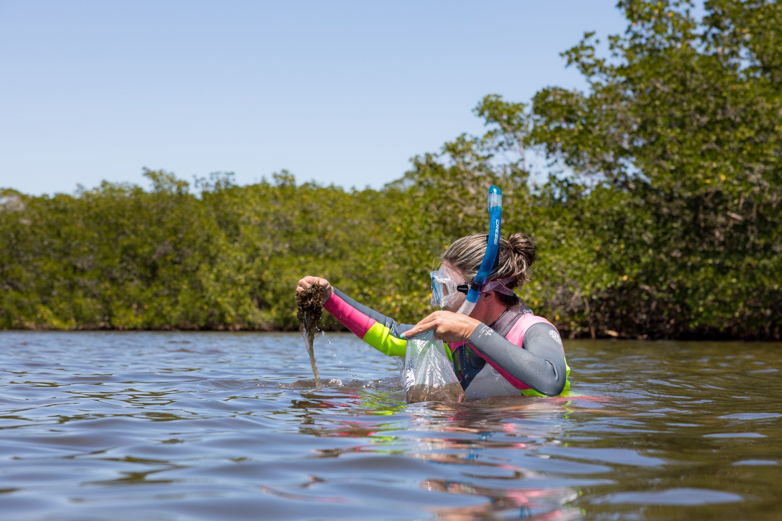 om58zoeueaes77vc0yqc