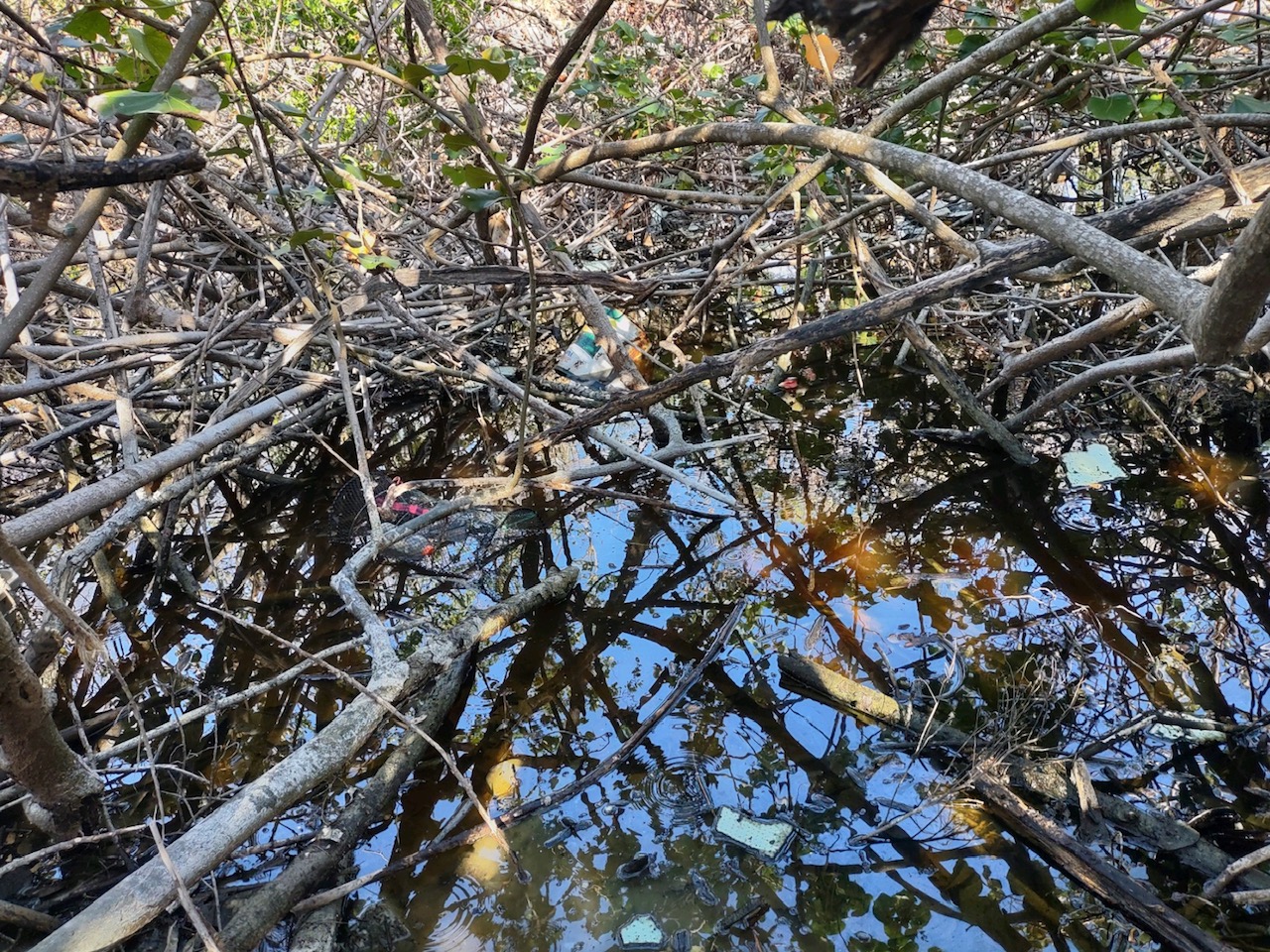 oqesjwjvktylt1krqmh8