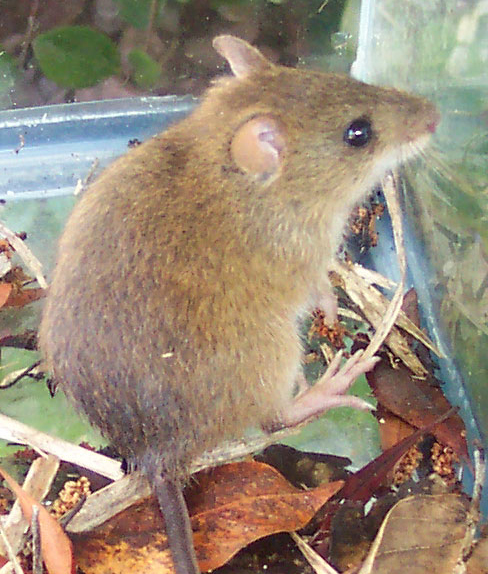 p4ksvjkm8jbt9t2og056