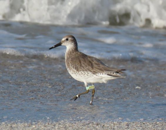 p5ab0z7jwbchsvffdwtm