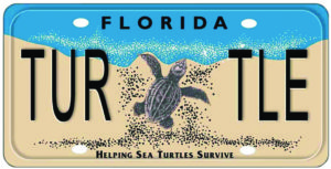 pbhy6eumqdfkyvwb1daj