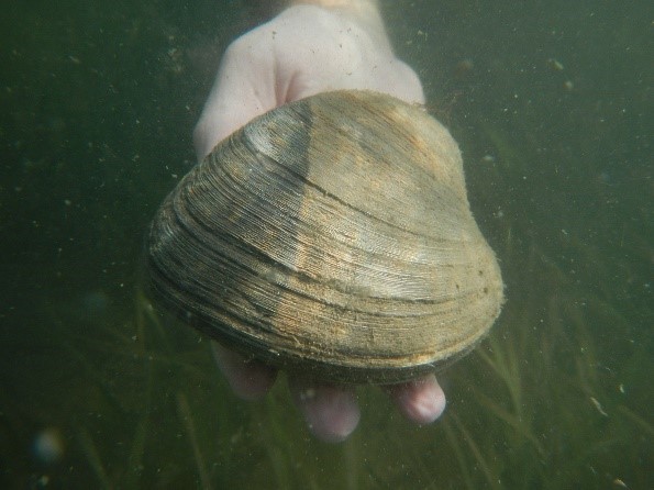 pdl41zifx08qklgkyozv