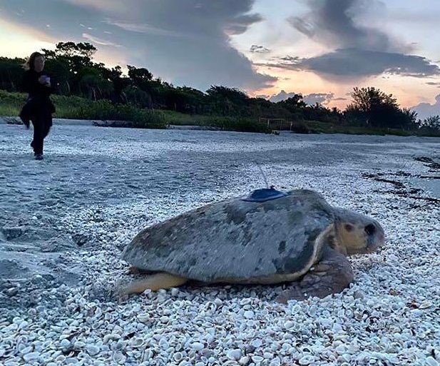 piohkwyuk7ctmsfzpxwj