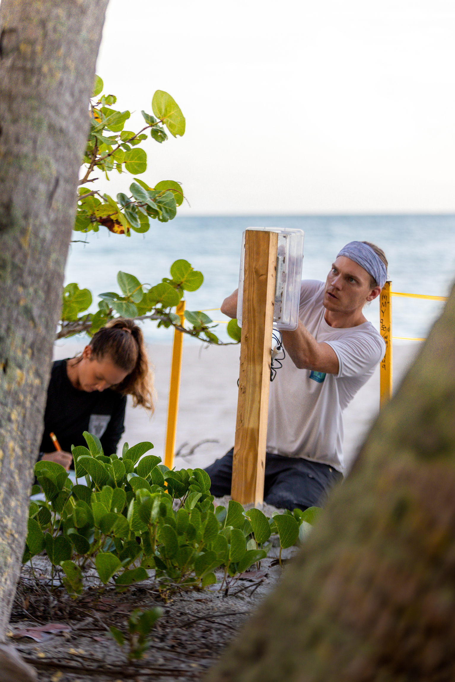 pirerxt5fzsotinmkzk0