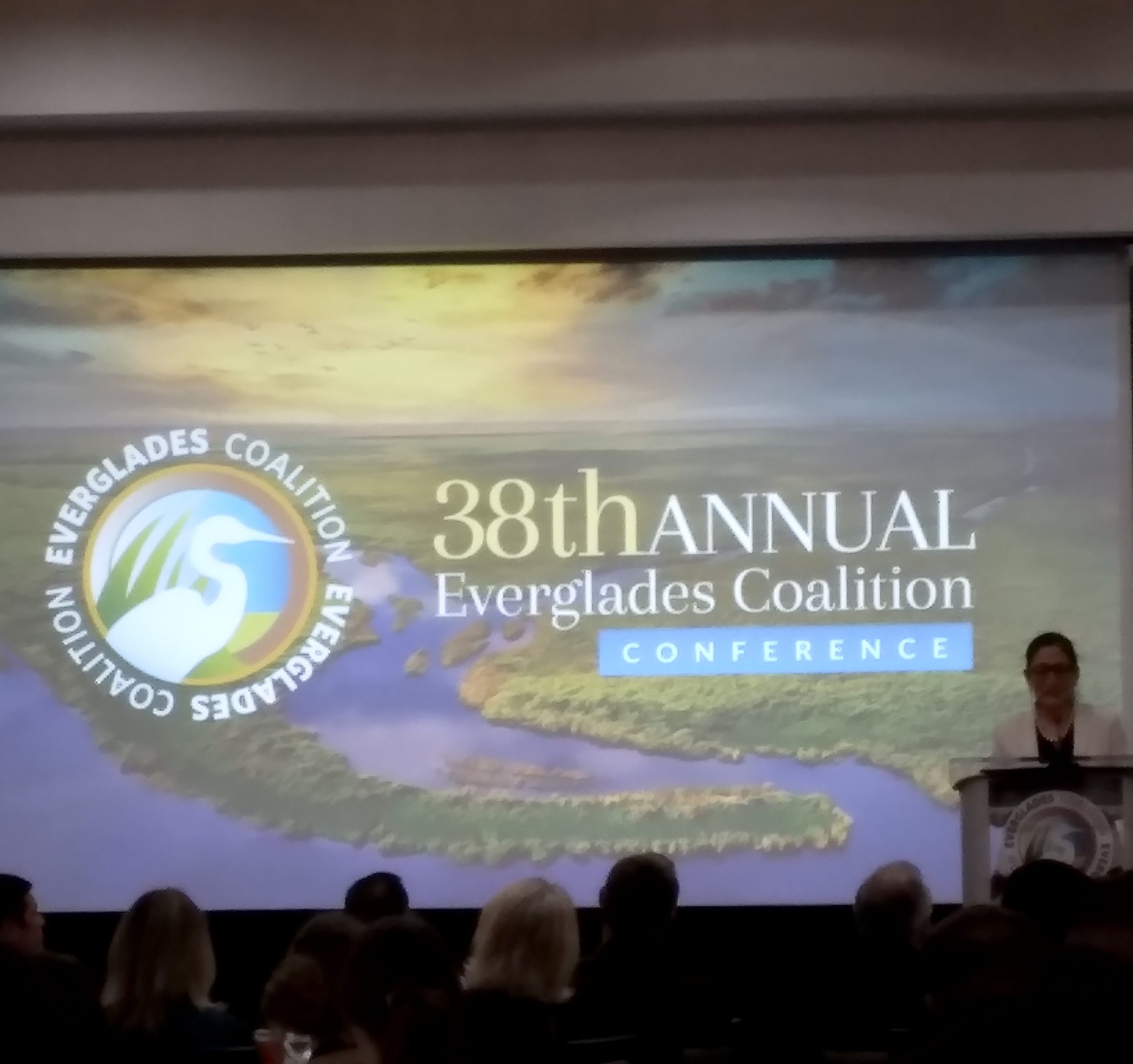 pkd8e4zwoowzpj1dpaun