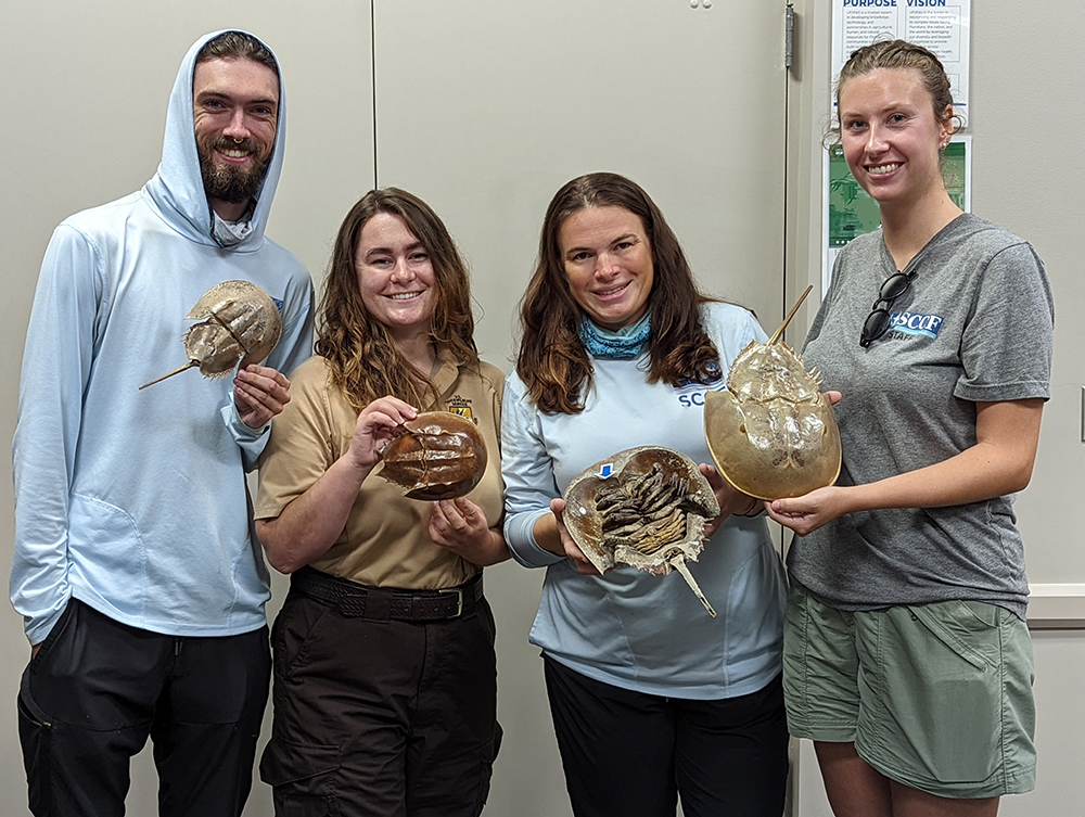 pnvriph2hdkyiruxbkkm