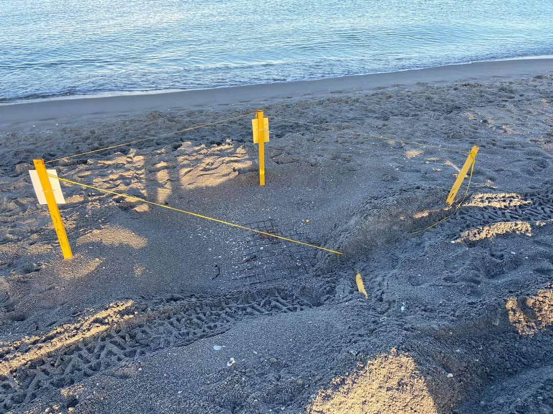 pujdjms4siblfdzeu3jy