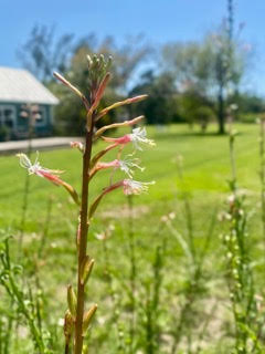 q6uxibf0san3r3cykqer