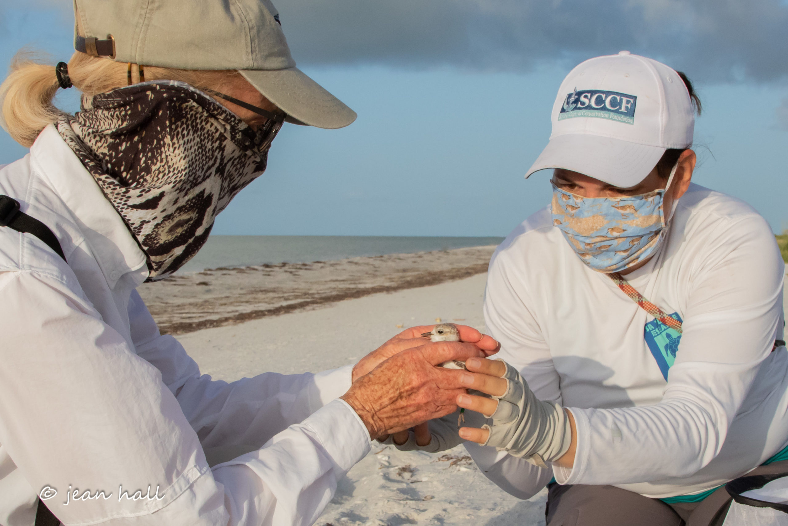 qdml40xeeadbmbh3n3j6