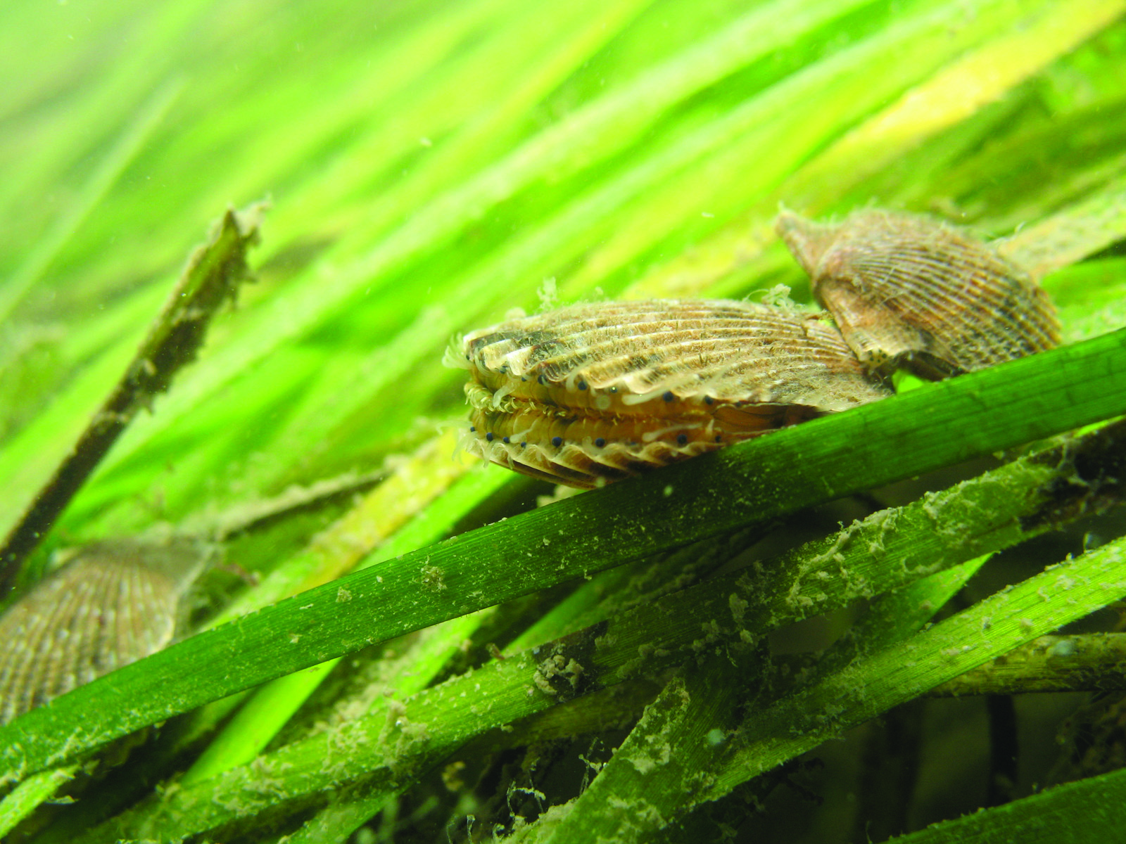 qgsgcziydygyuwda4ept