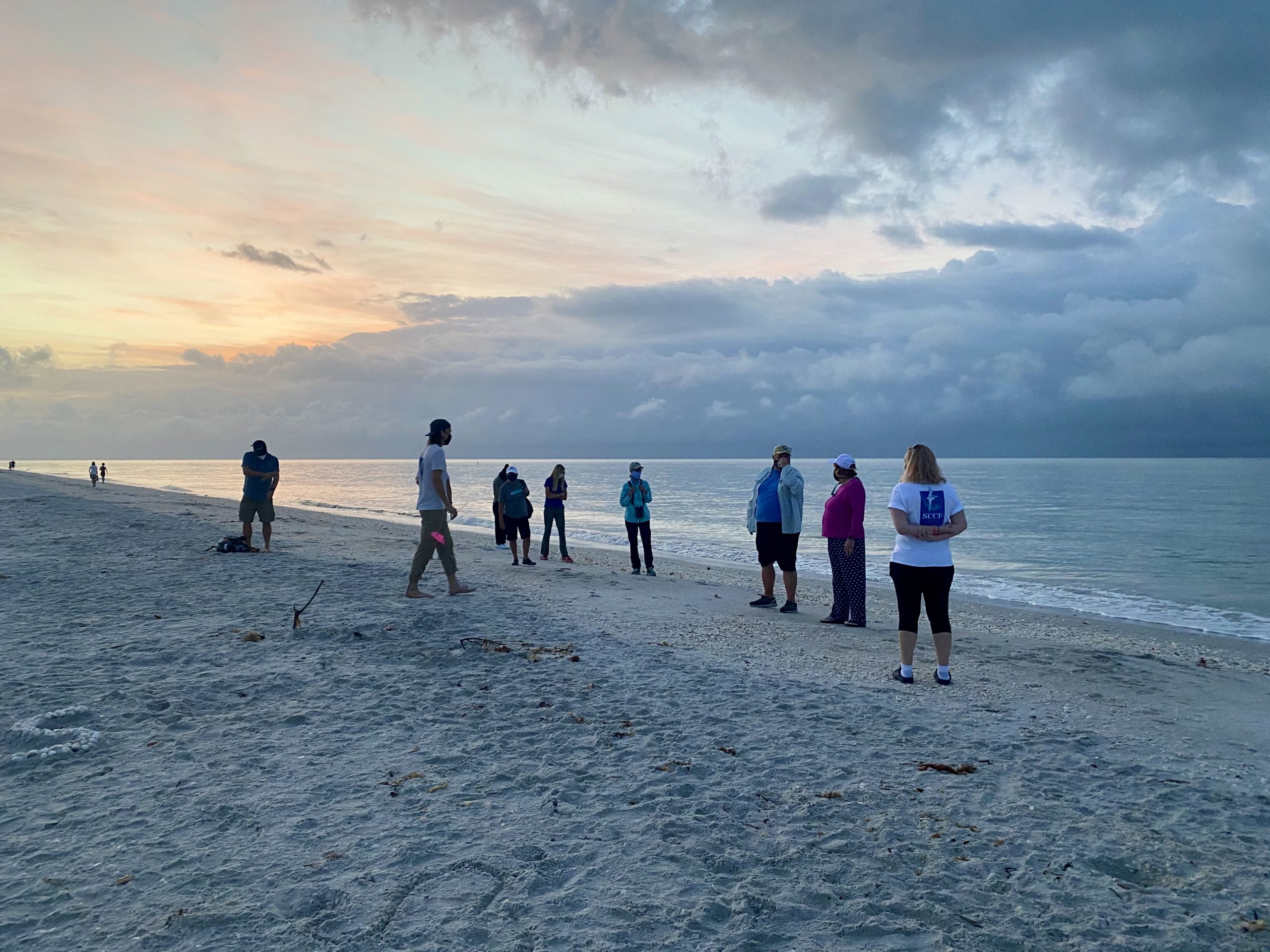 qiwg6r8gpwncdlgoxym4