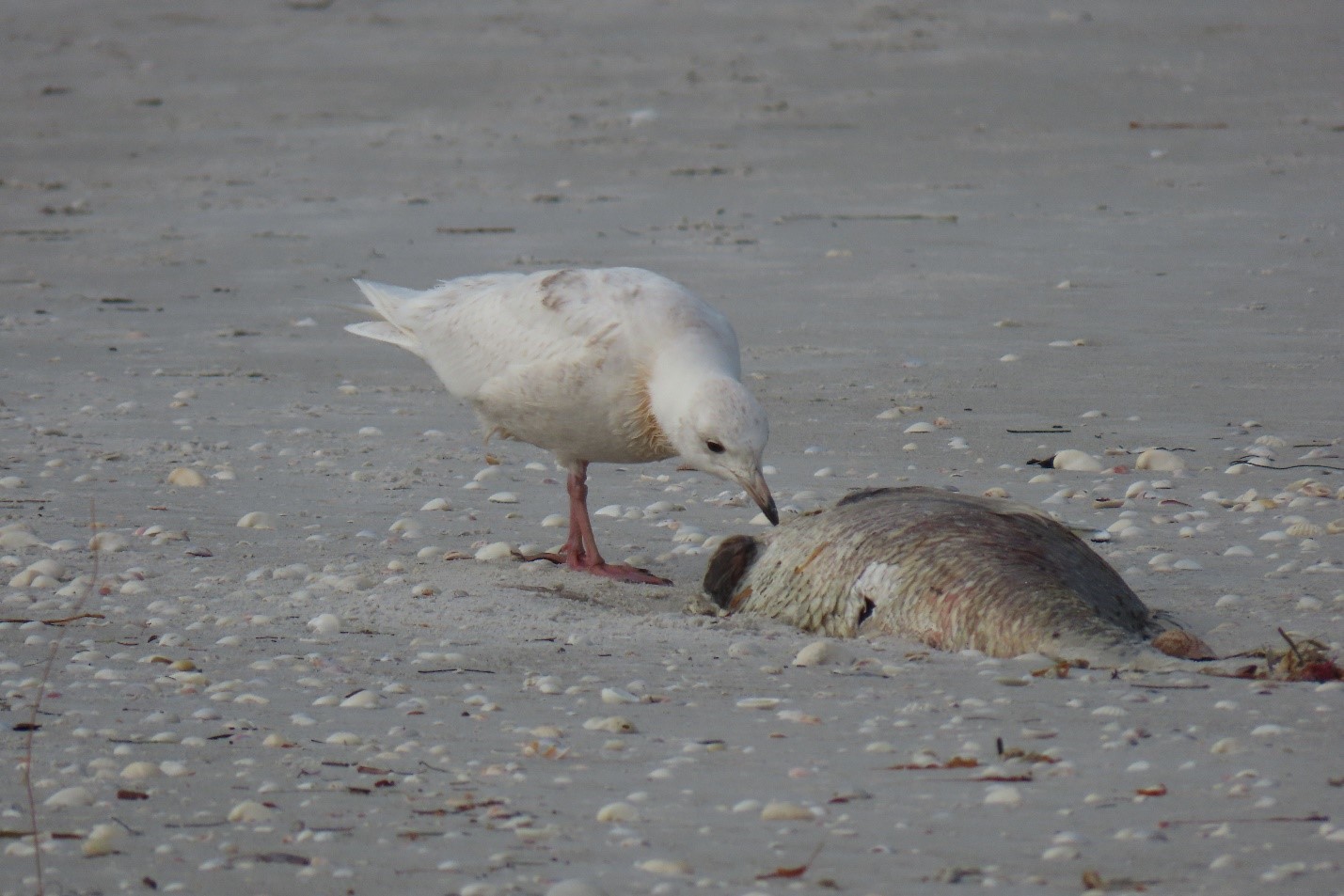 qnyurwhzdfujyuhzv1ki