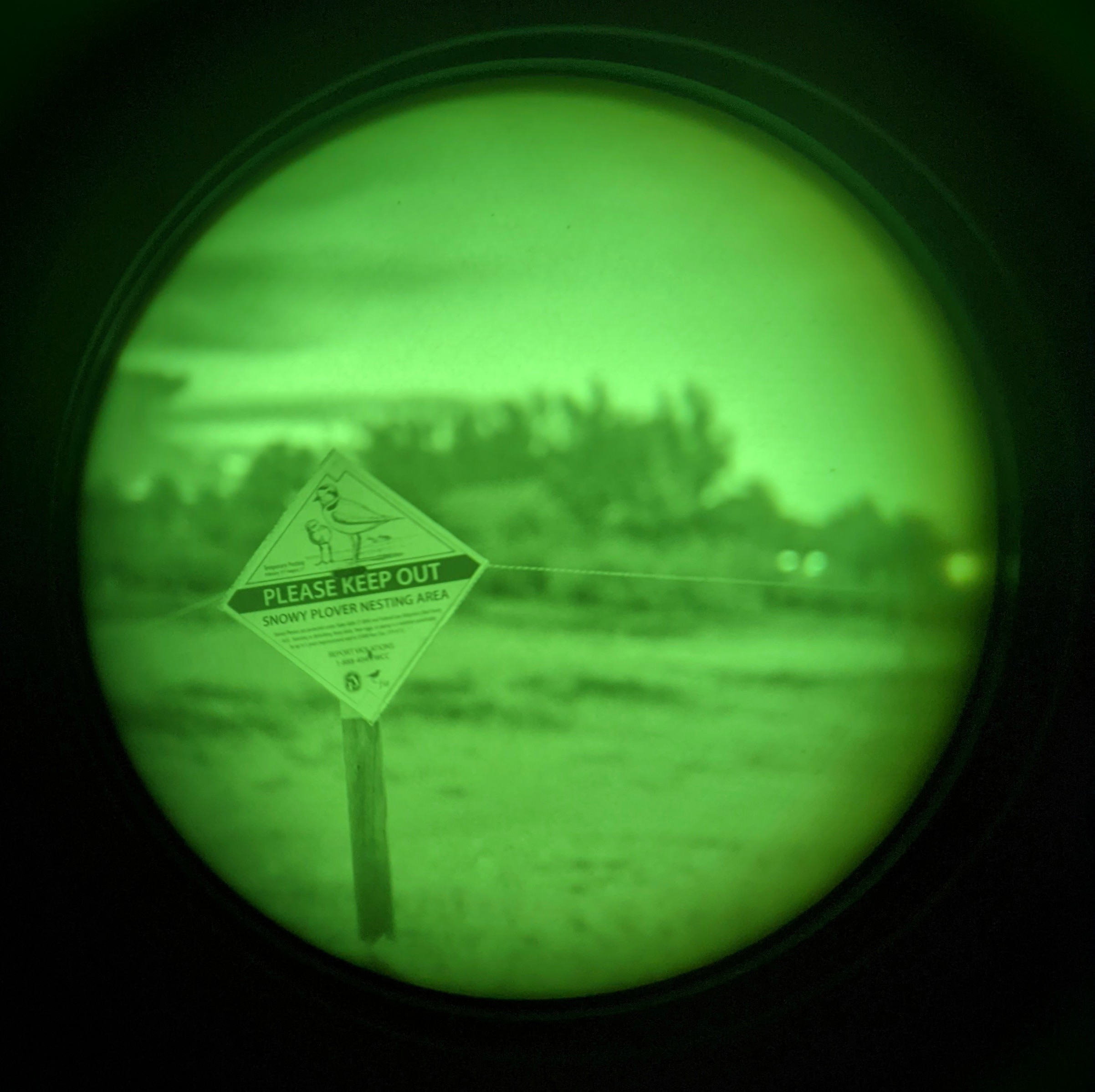 qontn1huj9udq9pfrffq