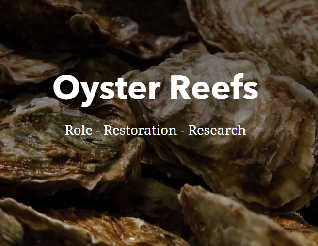 rhd2ujglorv0sgybaebo