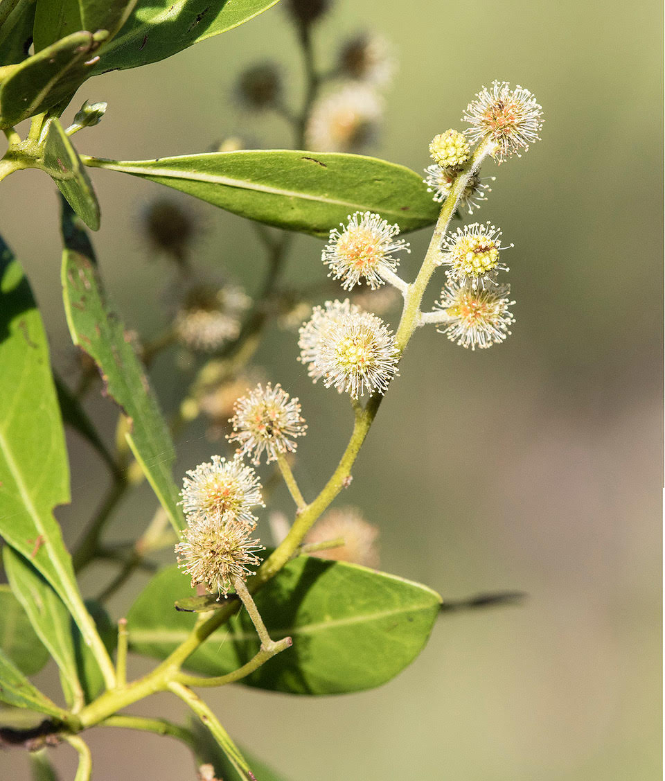 rn5urdcrhawjwkjqzkyq